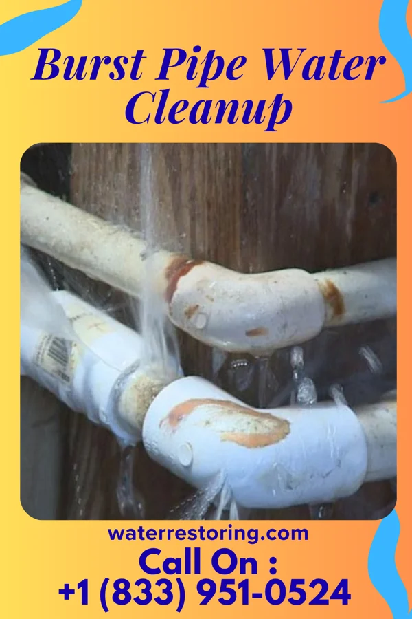 Burst Pipe Water Cleanup in Simsboro, LA