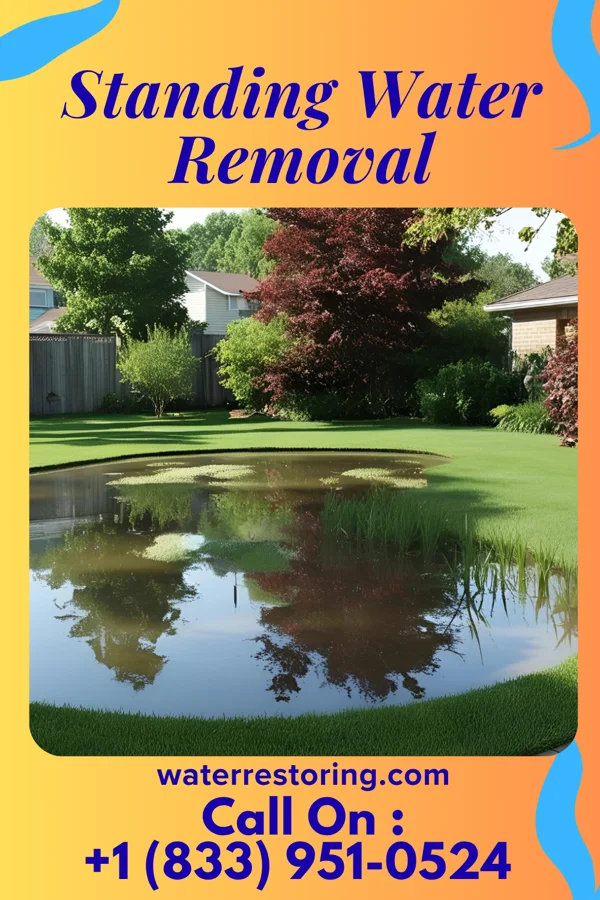 Standing Water Removal in Simsboro, LA